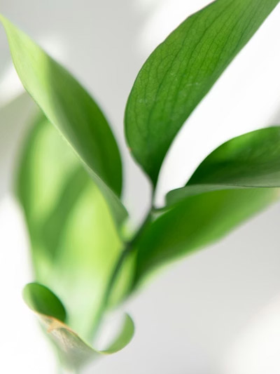 grote foto van psycholoog Wester in Amsterdam